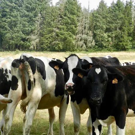 Σπίτι διακοπών La Part Des Anges