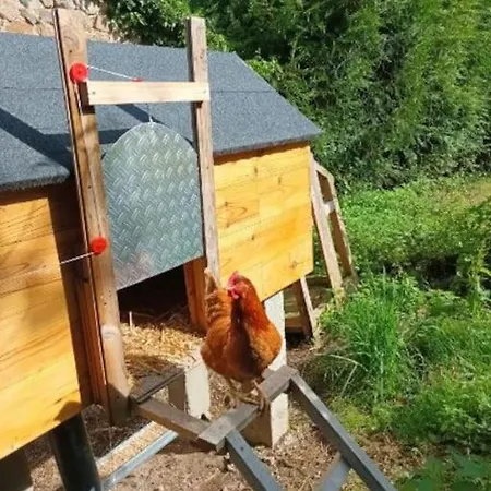 La Part Des Anges Saint-Angel (Puy-de-Dome)