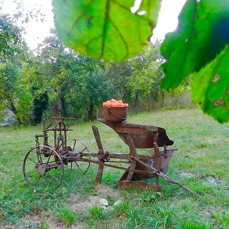 La Part Des Anges Saint-Angel (Puy-de-Dome)