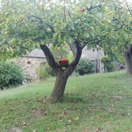 La Part Des Anges Σπίτι διακοπών
