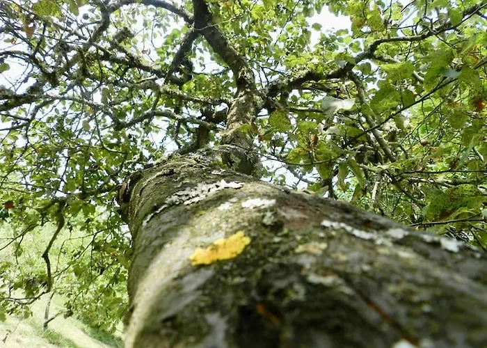 La Part Des Anges Vakantiehuis Saint-Angel (Puy-de-Dome)