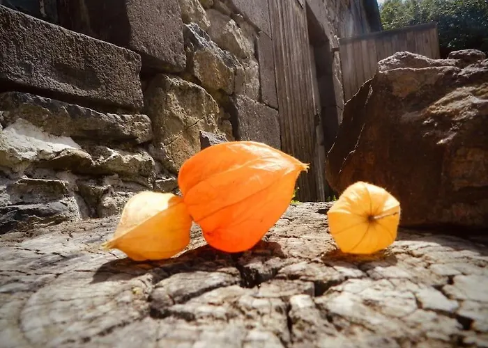 La Part Des Anges Vakantiehuis Saint-Angel (Puy-de-Dome)