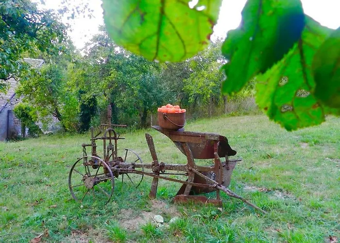 La Part Des Anges Saint-Angel (Puy-de-Dome)